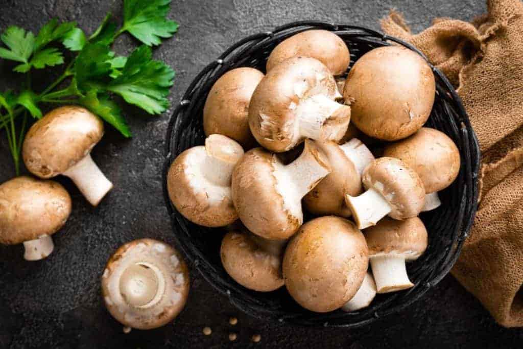 تصویر 1 از خرید قارچ دکمه ای + قیمت فروش استثنایی